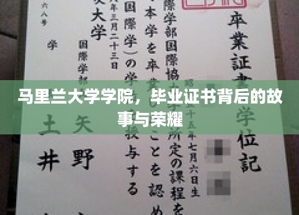 马里兰荣耀，揭开学院毕业证书背后的传奇篇章
