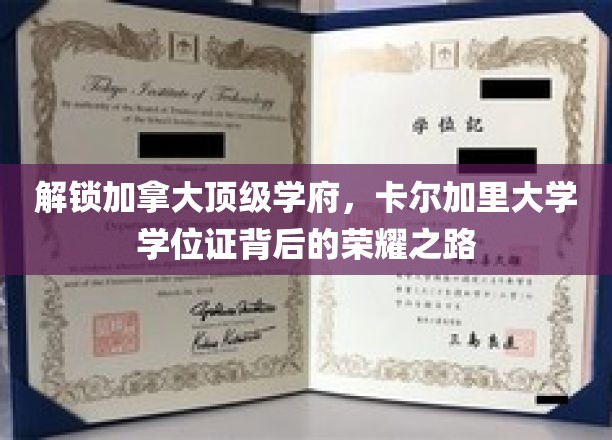 解锁加拿大顶级学府，卡尔加里大学学位证背后的荣耀之路