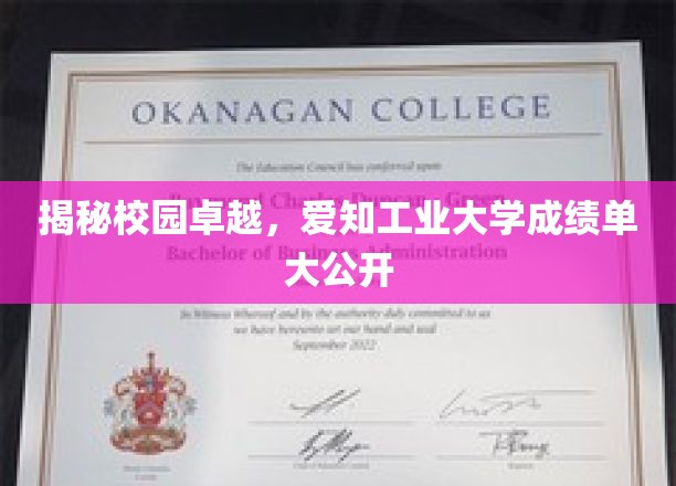 揭秘校园卓越，爱知工业大学成绩单大公开