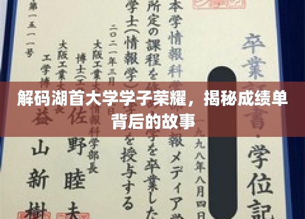 湖首学子风采录，揭秘荣耀背后的学习秘籍