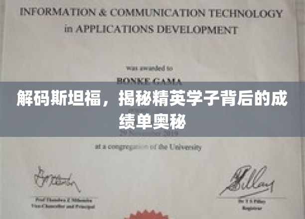 斯坦福精英养成记，揭秘高材生背后的高效学习秘籍