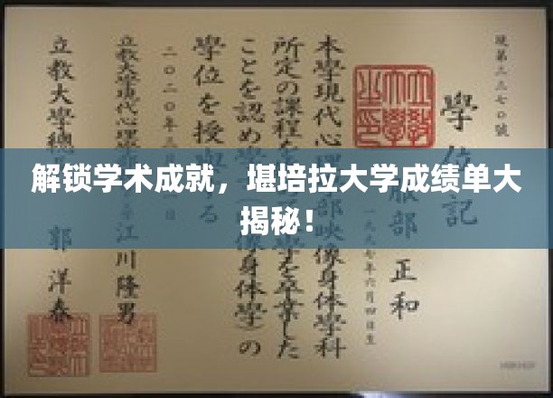 探索堪培拉大学学术荣耀，一窥卓越成绩单背后的秘密