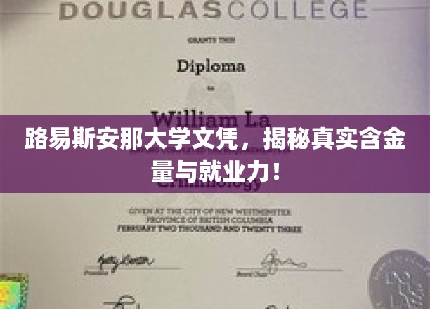 路易斯安那大学文凭，揭秘真实含金量与就业力！