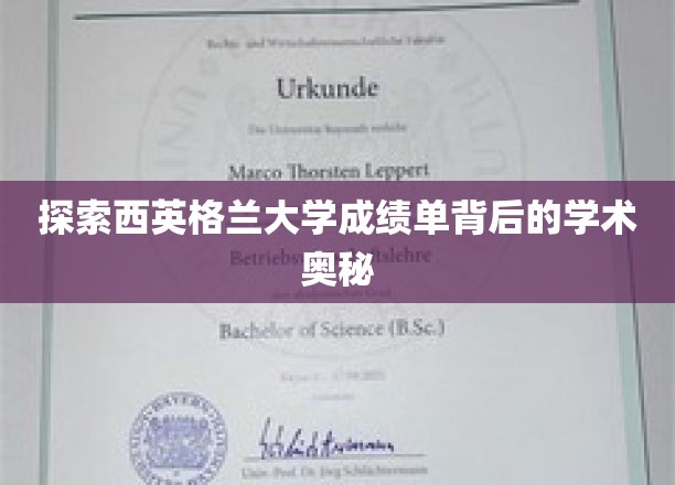探寻西英格兰大学成绩单背后的学术奥秘