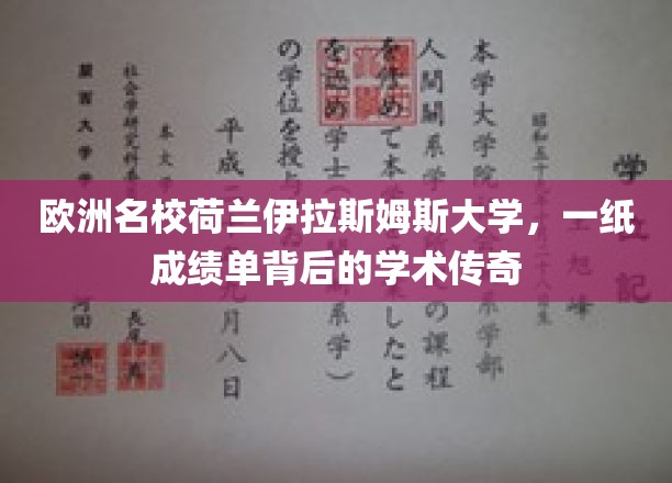 荷兰伊拉斯姆斯大学，揭开一纸成绩单背后的学术璀璨故事
