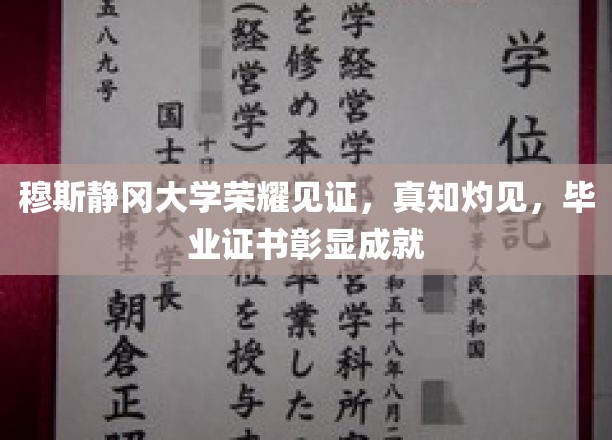 穆斯静冈大学荣耀榜，毕业证书背后的非凡成就与真知探索