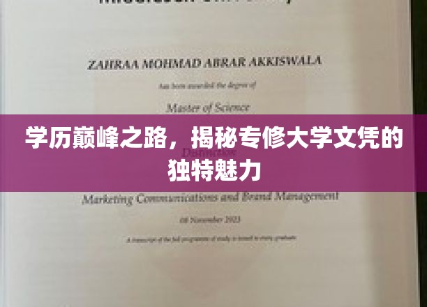 学位巅峰探秘，专修大学文凭的非凡吸引力