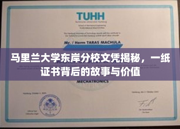 马里兰大学东岸分校证书背后的传奇，探寻价值与奥秘