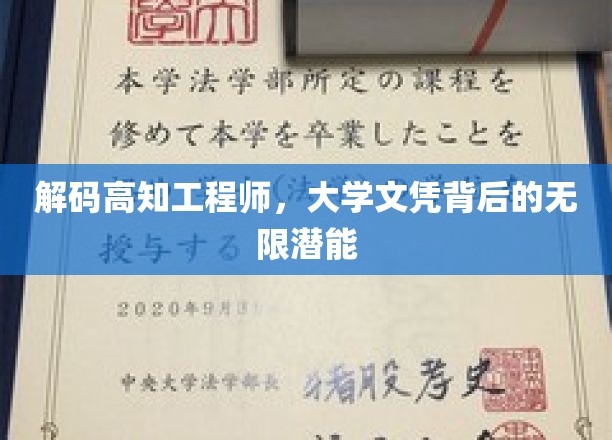 解码高知工程师，大学文凭背后的无限潜能