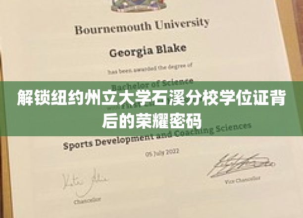解锁纽约州立大学石溪分校学位证背后的荣耀密码