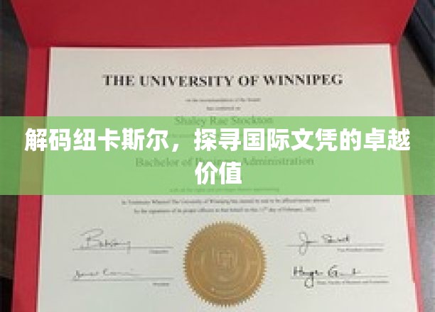 揭开纽卡斯尔国际文凭背后的全球精英培养奥秘