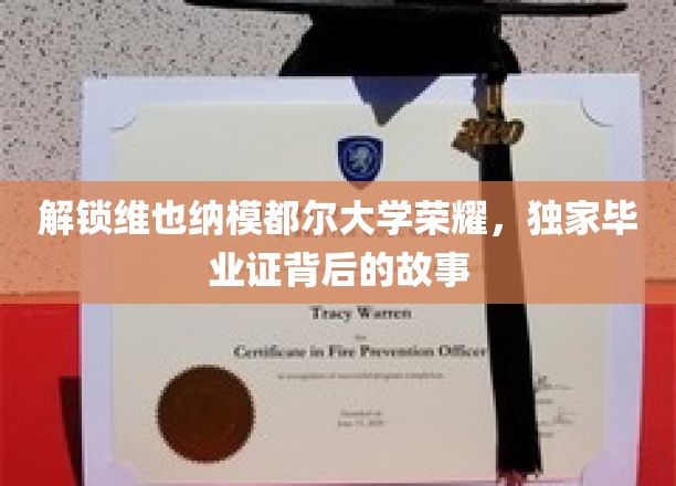 揭秘维也纳Modul大学荣耀，独家毕业证背后的故事