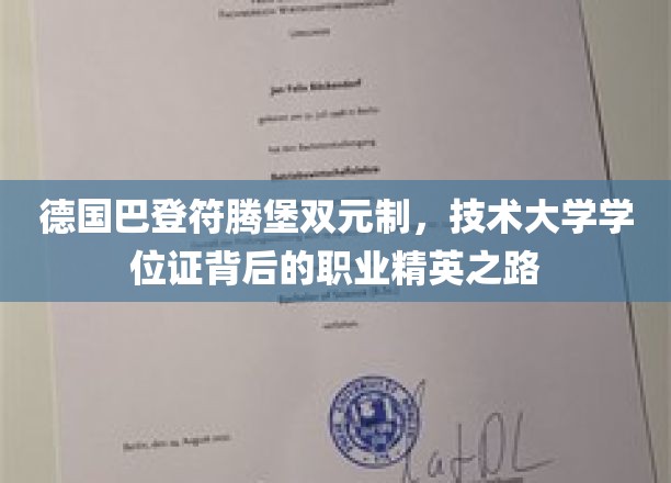 解码德意志技术精英，巴登符腾堡双元制下的职业成长传奇