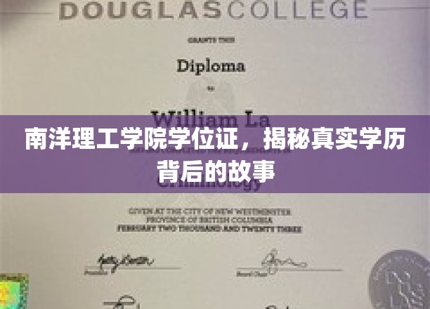 南洋理工大学学位证，揭秘真实学历背后的故事