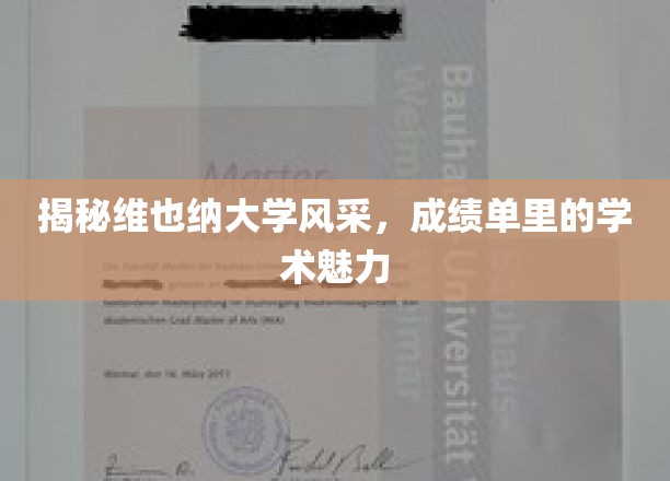 探寻维也纳大学学术之光，揭秘成绩单背后的学术风采