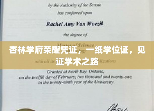 杏林荣耀见证，学位证书承载学术征途的璀璨印记