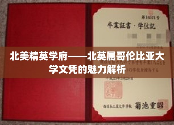 北美精英学府——北英属哥伦比亚大学文凭的魅力解析