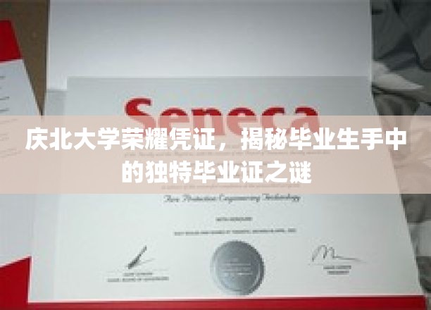 庆北荣耀凭证大揭秘，揭秘毕业生独领风骚的毕业证之谜