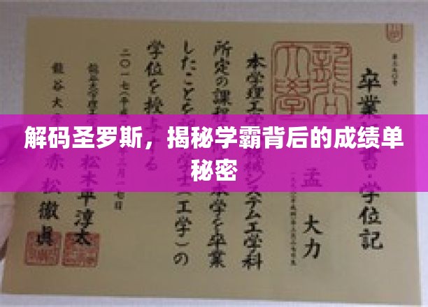 破解学霸秘籍，圣罗斯背后的非凡成绩奥秘