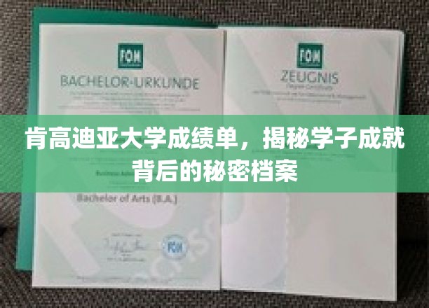 哥伦比亚大学成绩单，揭示学子成就背后的秘密档案