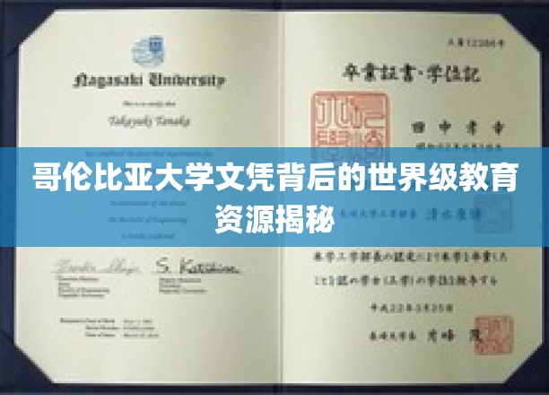 哥伦比亚大学学位背后的全球顶尖教育资源全景解析