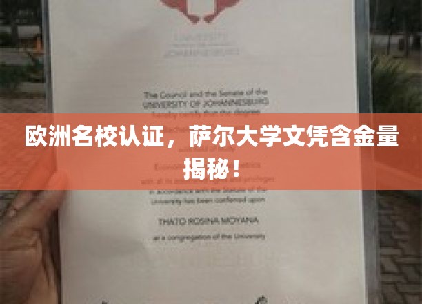 欧洲精英学府认证，萨尔大学学位价值一探究竟！