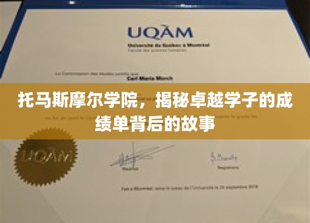 托马斯摩尔学院，解码学霸成绩单背后的成长奥秘
