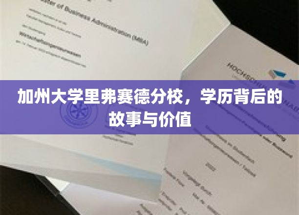 解码加州里弗赛德分校，学历之光下的真实故事与深层价值