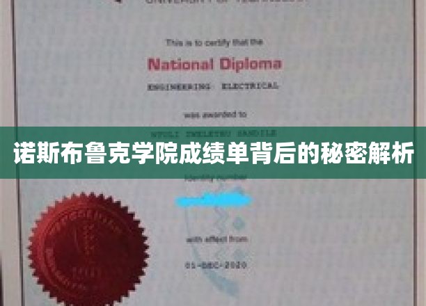 揭开诺斯布鲁克学院成绩单背后的神秘面纱