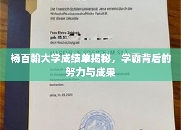 杨百翰大学成绩单揭秘，学霸背后的努力与成果