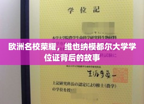 揭开维也纳模都尔大学荣耀学位证背后的传奇篇章