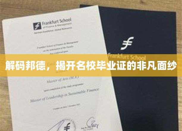 揭秘名校毕业证的神秘魅力