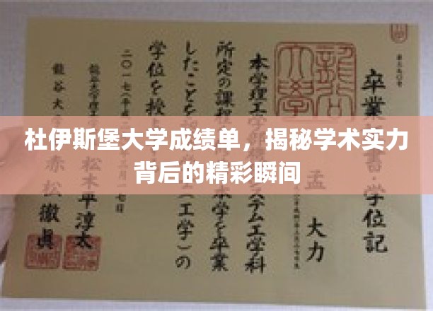 杜伊斯堡大学成绩单,揭秘学术实力背后的精彩瞬间
