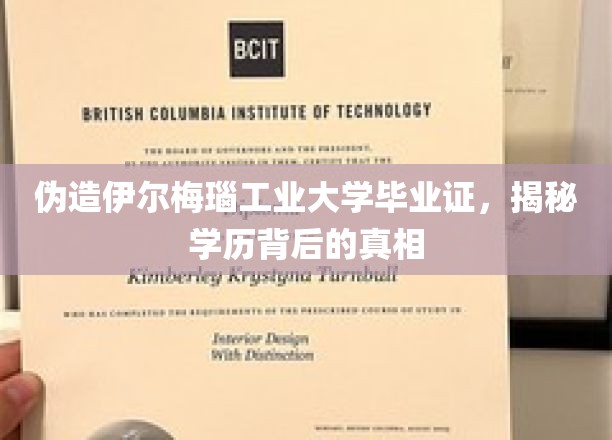 揭开伪造学历的伊尔梅瑙工业大学之谜