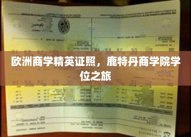 探索鹿特丹商学院，解锁欧洲商学精英的全球通行证