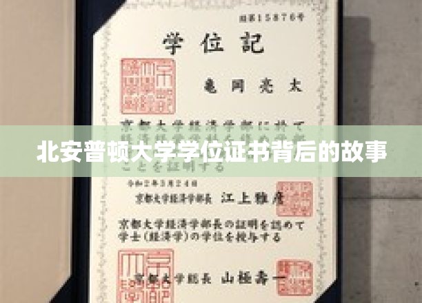 探寻北安普顿大学学位证书背后的传奇历程
