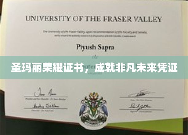 荣耀启航，圣玛丽证书，开启非凡生涯之路