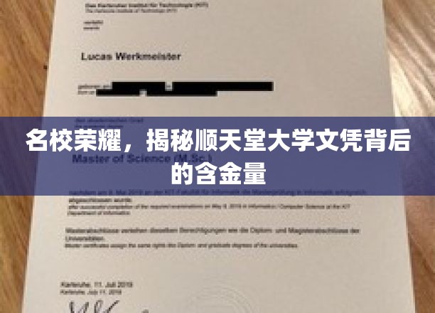 顺天堂大学文凭，名校光环下的真实价值揭秘