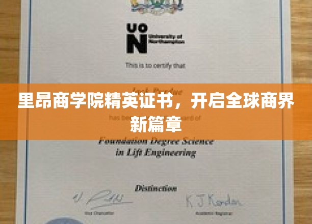里昂商学院精英认证，引领商界未来浪潮