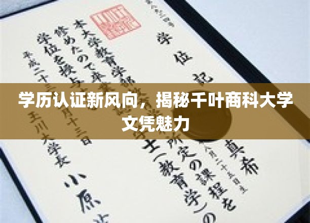 千叶商科大学文凭新潮流，揭秘高学历认证背后的非凡魅力