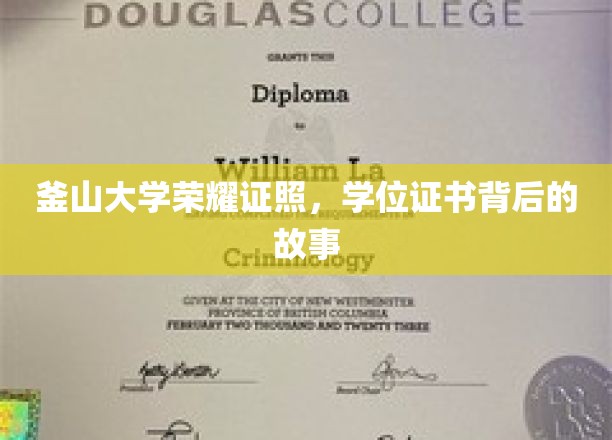 釜山荣耀，揭秘学位证书背后的传奇历程