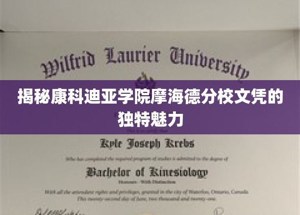揭秘康科迪亚学院摩海德分校文凭的独特魅力