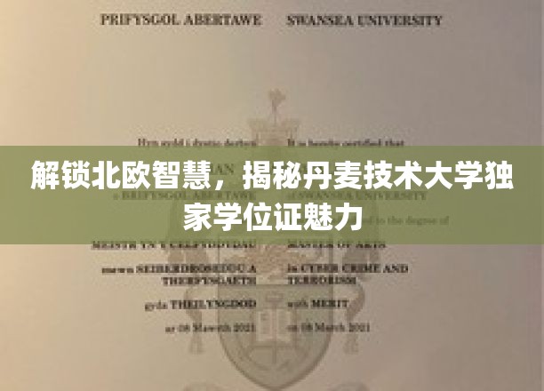 探秘丹麦技术大学，北欧教育精髓下的学位证非凡魅力