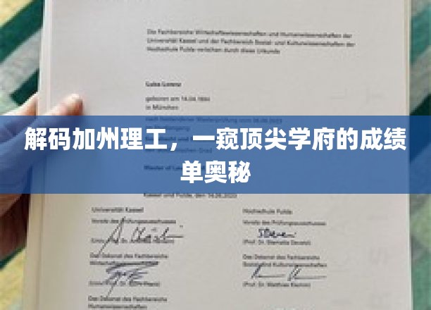 揭开加州理工的神秘面纱，揭秘顶尖学府的卓越成就