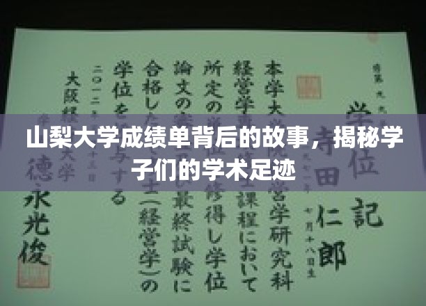 山梨大学成绩单背后的故事，揭秘学子们的学术足迹