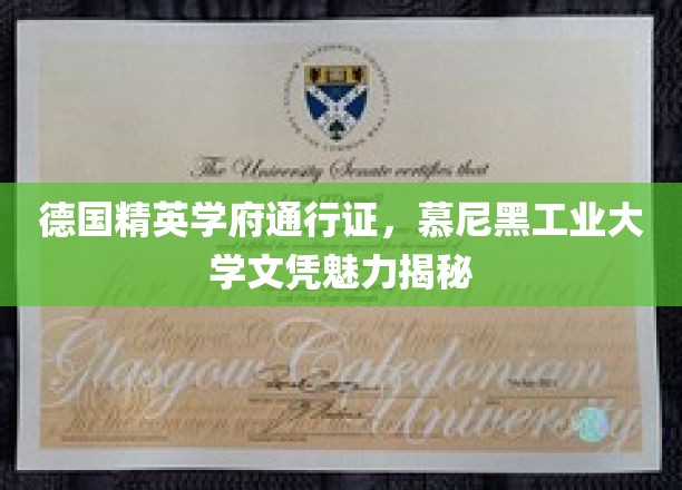 解码德国顶尖学府，慕尼黑工业大学文凭背后的独到魅力