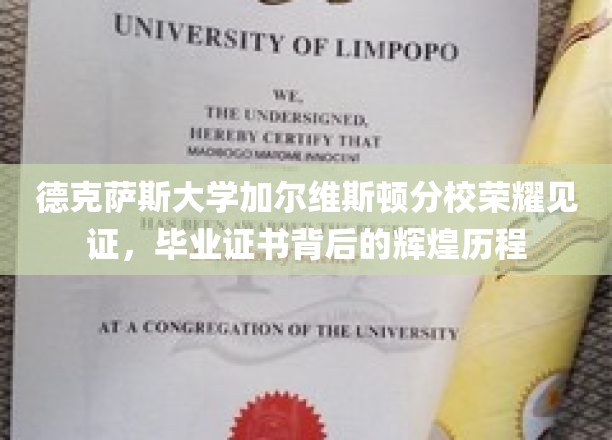 德克萨斯大学荣耀时刻，毕业证书映照的不凡征途