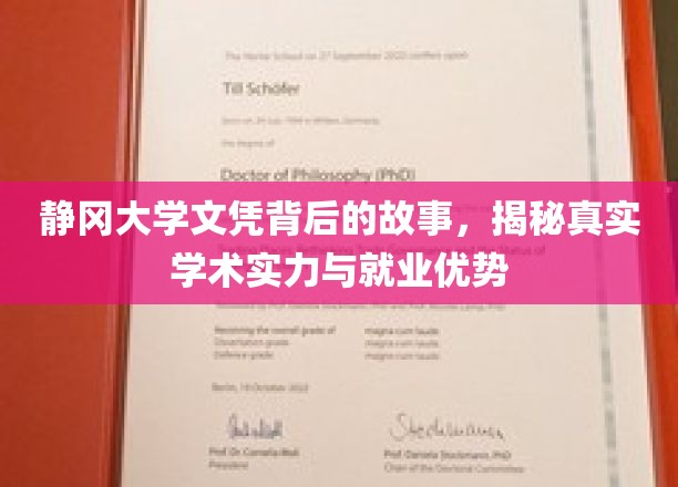 静冈大学文凭背后的奥秘，深度解析学术实力与职场竞争力