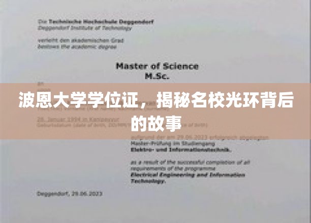 波恩大学学位证书，揭秘名校光环背后的故事