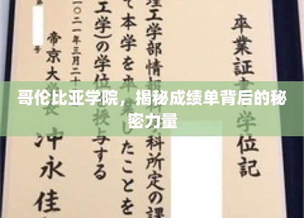 哥伦比亚学院，探寻成绩单背后的强大力量